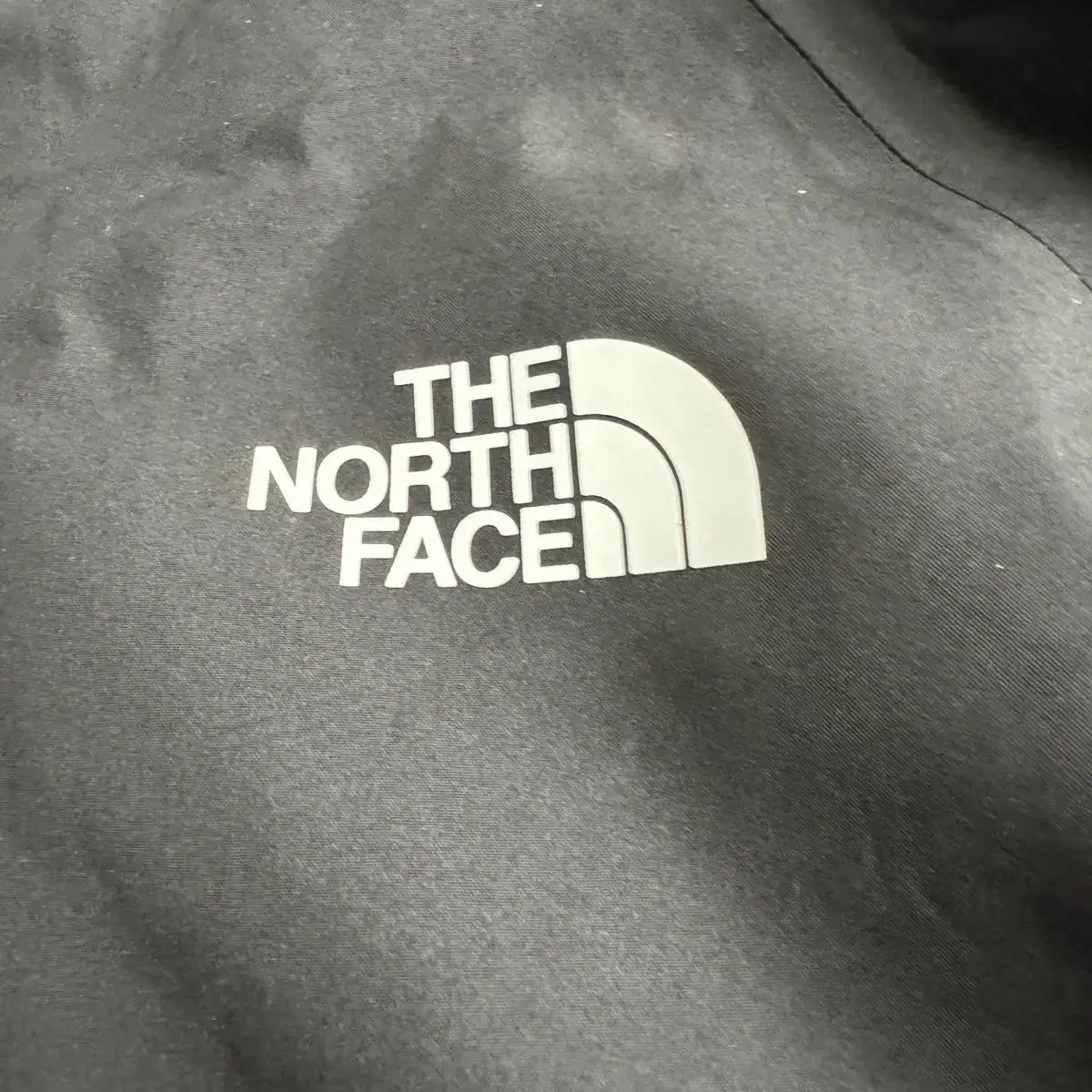 [TNF] Women's Jazzi GORE-TEX Jacket (S)