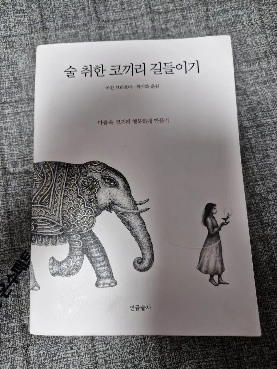 술 취한 코끼리 길들이기 책