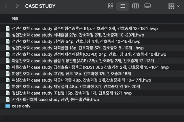 빅5 간호학과 A+ 케이스스터디 간호 pdf 간호과정 케이스 팔아요!