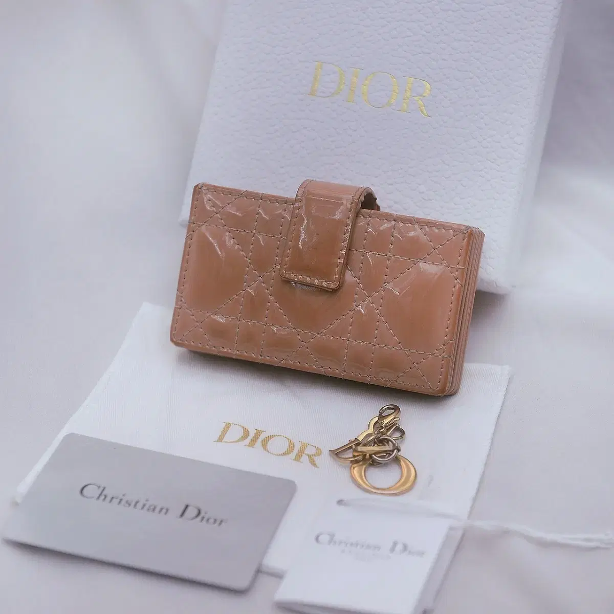 디올 (DIOR) 레이디 스몰 카프스킨 아코디언 5포켓 컴팩트지갑