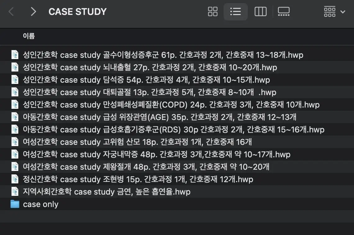 빅5 간호학과 A+ 케이스스터디 간호 pdf 간호과정 케이스 팔아요!