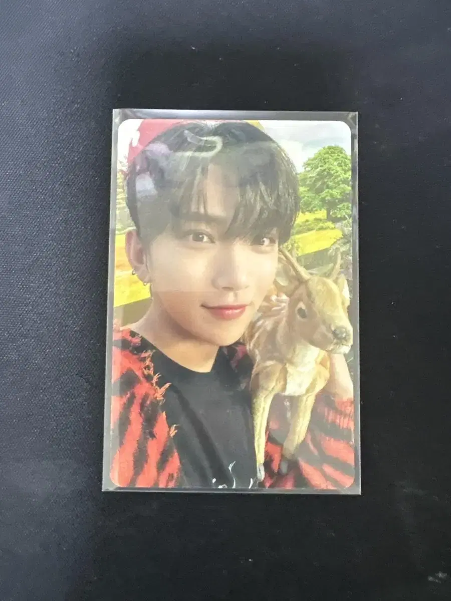 seventeen joshua hong jisoo dikon photocard wts