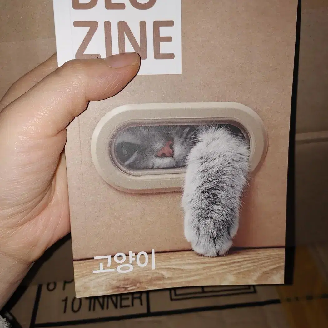 블루진 Blu zine  02 고양이 도서 책