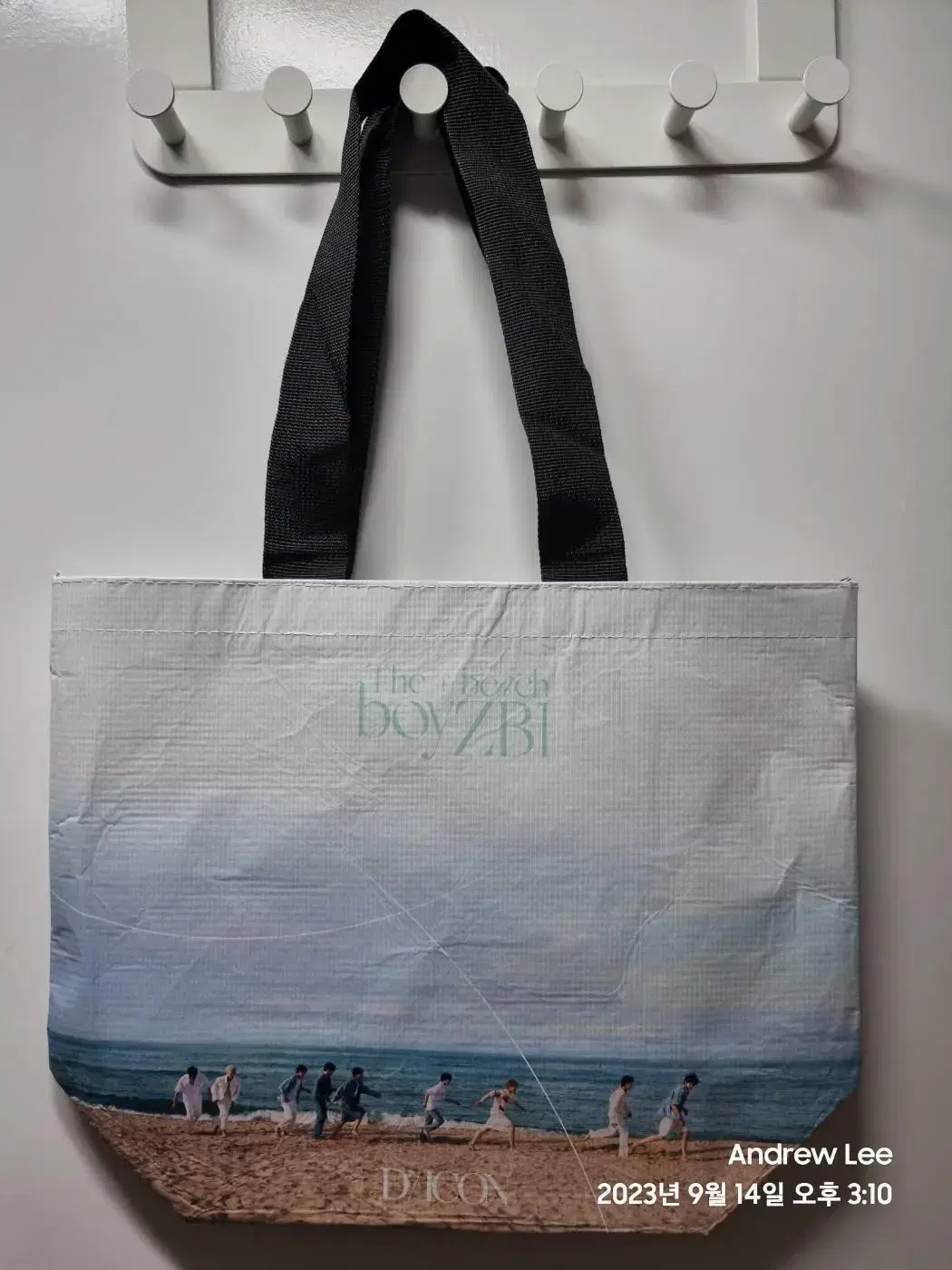 제로베이스원 디아이콘 더비치보이 리유저블백 REUSABLE BAG 새제품