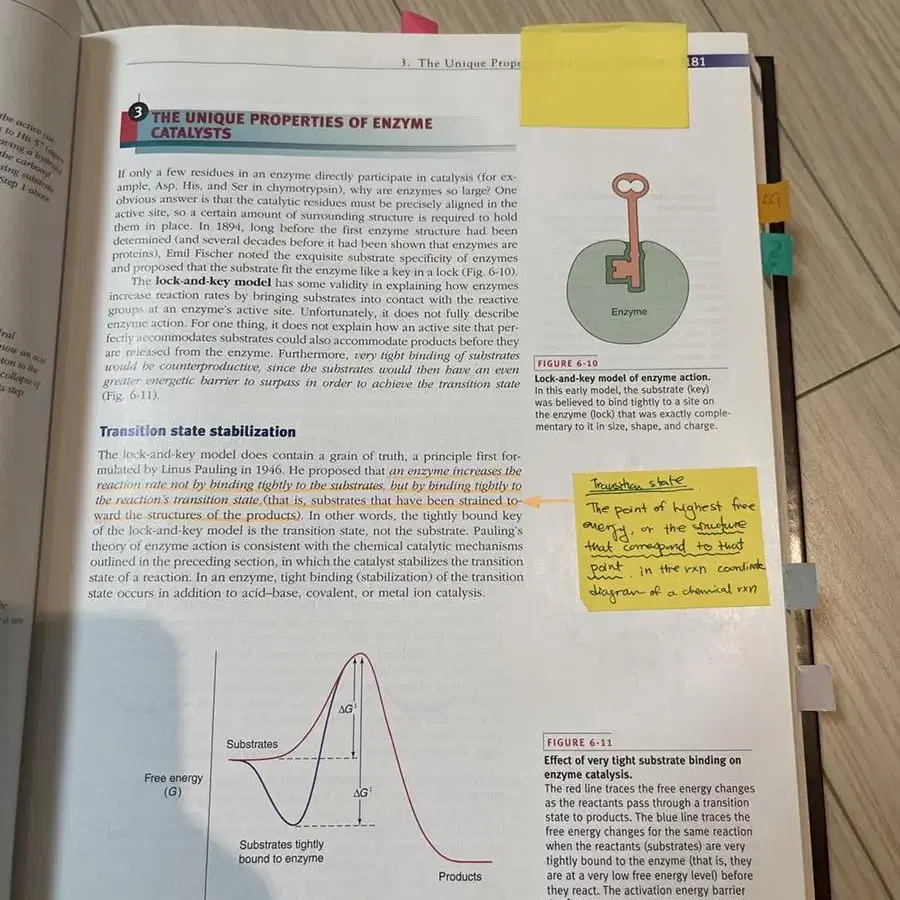 Essential biochemistry