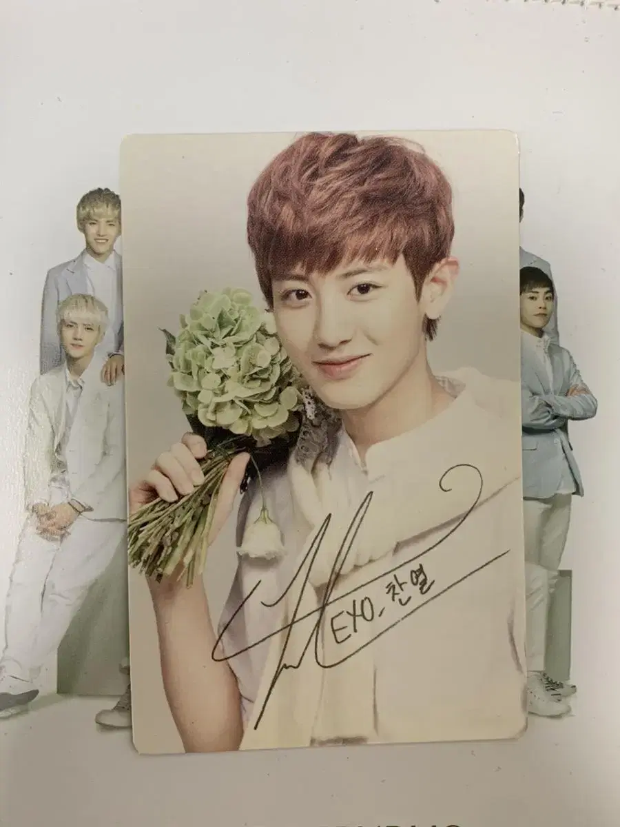 Exo NaturePublic chanyeol photocard