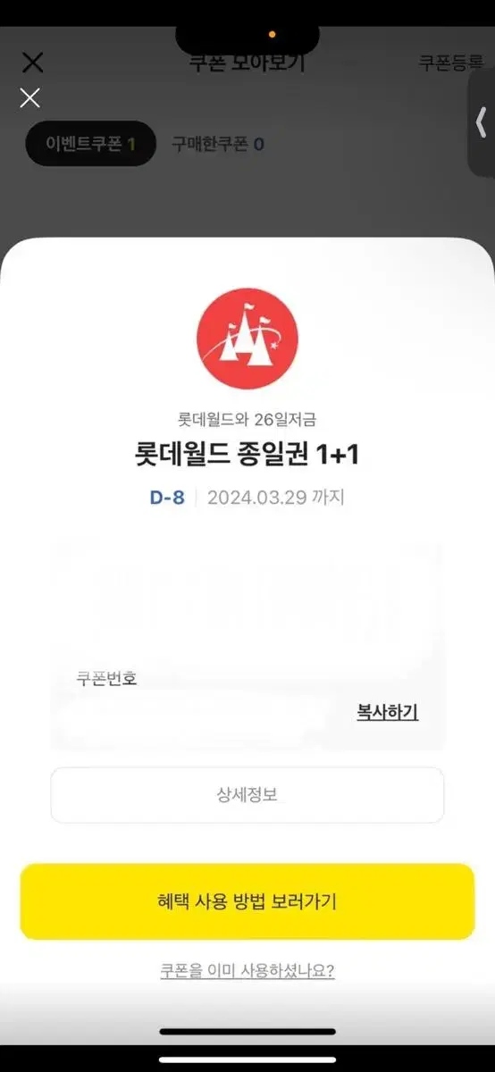 롯데월드 종일권 1+1