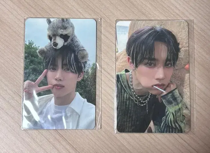 The Boyz sunwoo Healing Bird Photocard