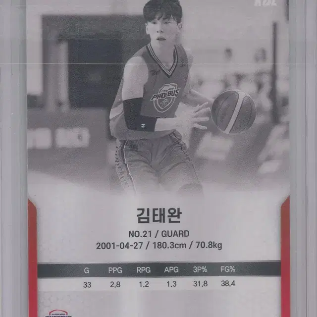 김태완 싸인카드 2023-24 SCC KBL 카본 컬렉션 농구카드