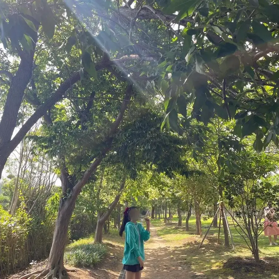 바넬로피 졸사 대여 ! (고퀄리티)