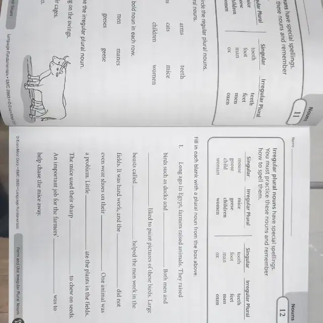 Language  Fundamentals  G3