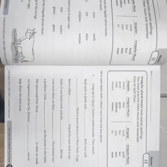 Language  Fundamentals  G3