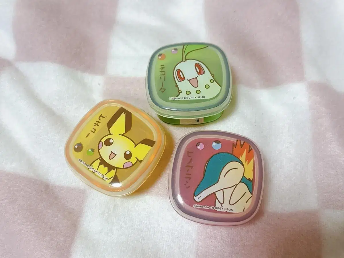 Pokémon Mini Stash