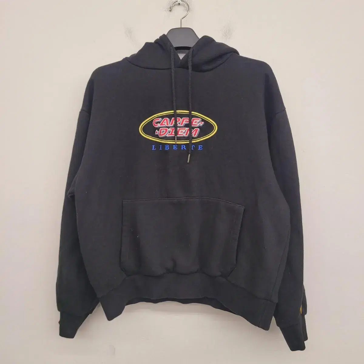 [100/L] Carpe Diem Embroidered Logo Brushed Hoodie for sale.