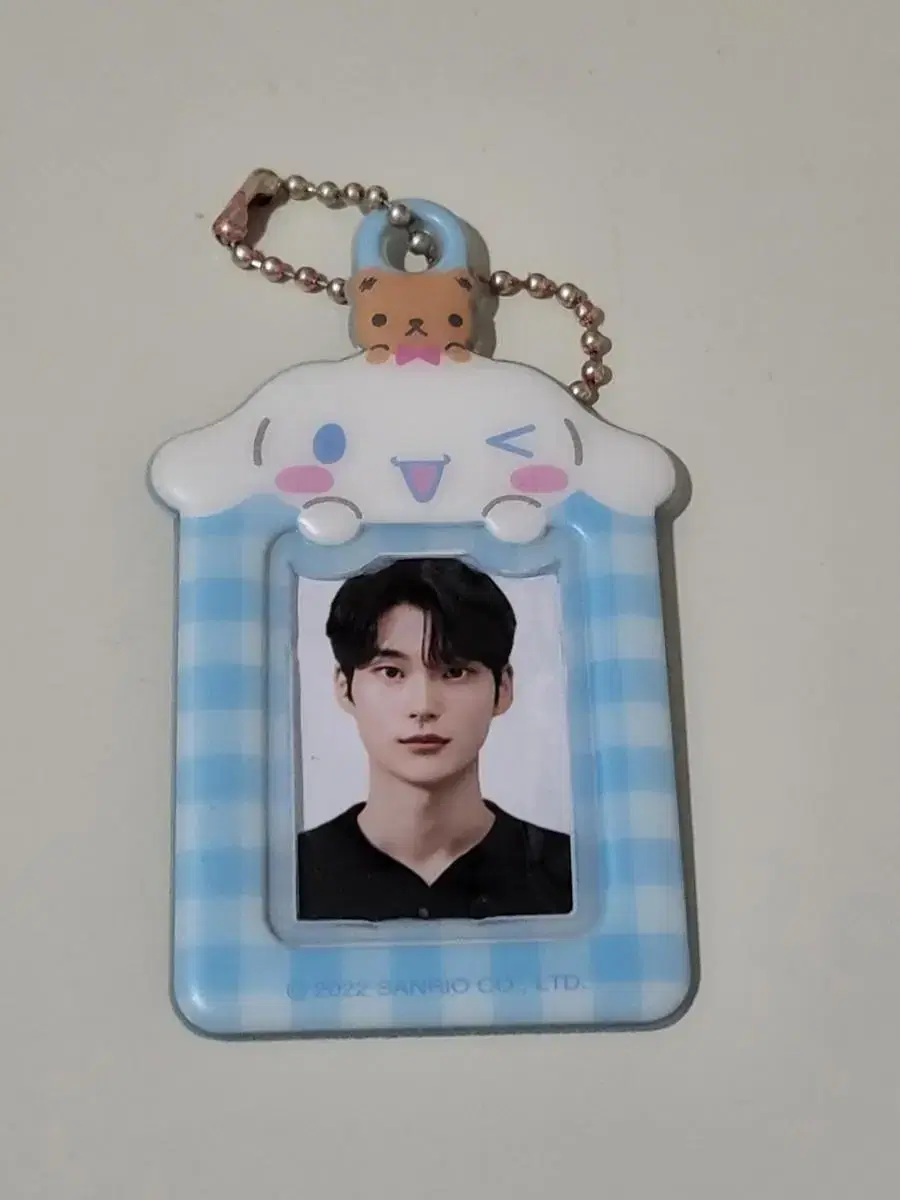 evnne park hanbin + cinnamoroll stock certificate holder