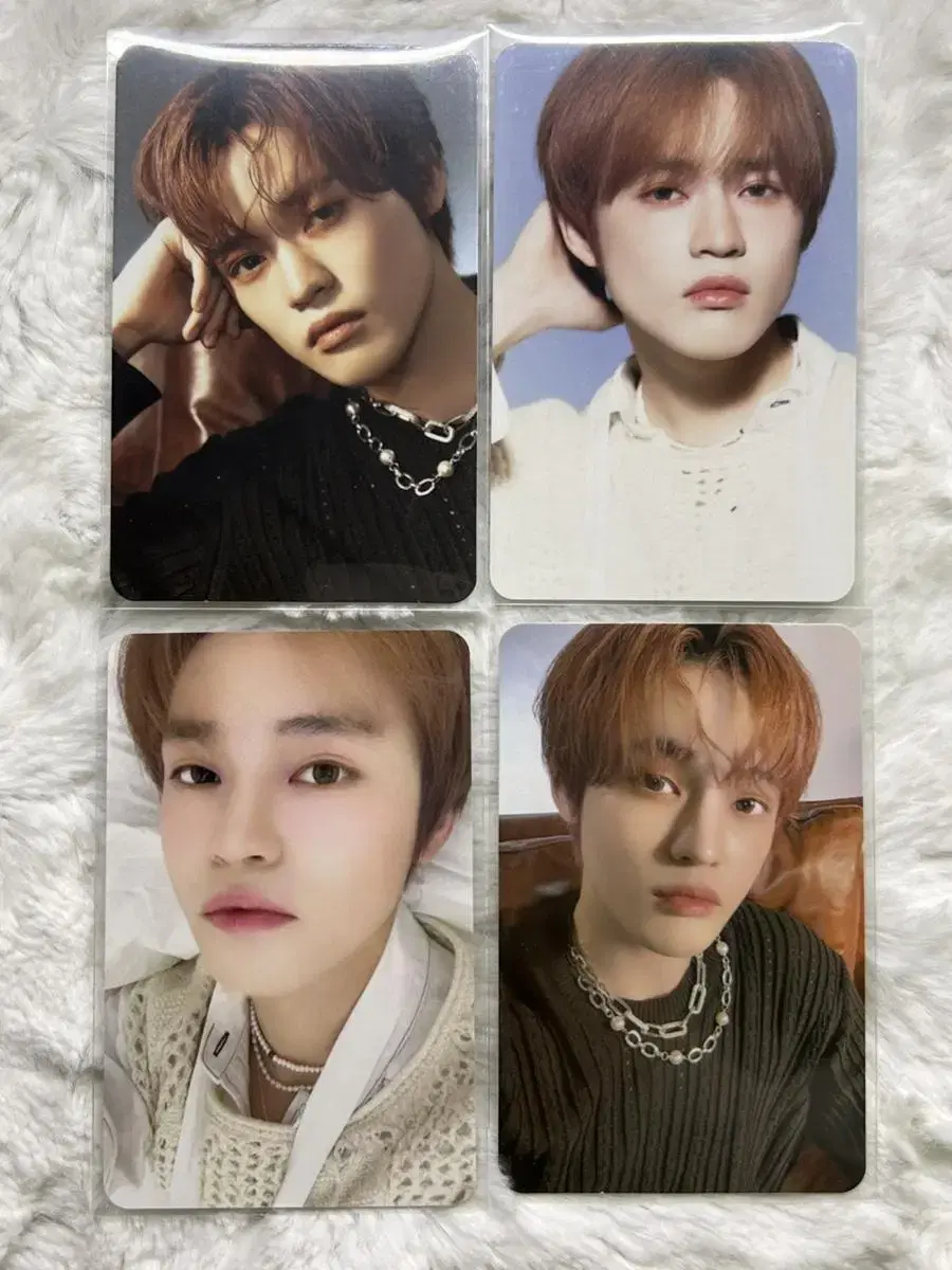 NCT chenle seasons greetings tc WTS