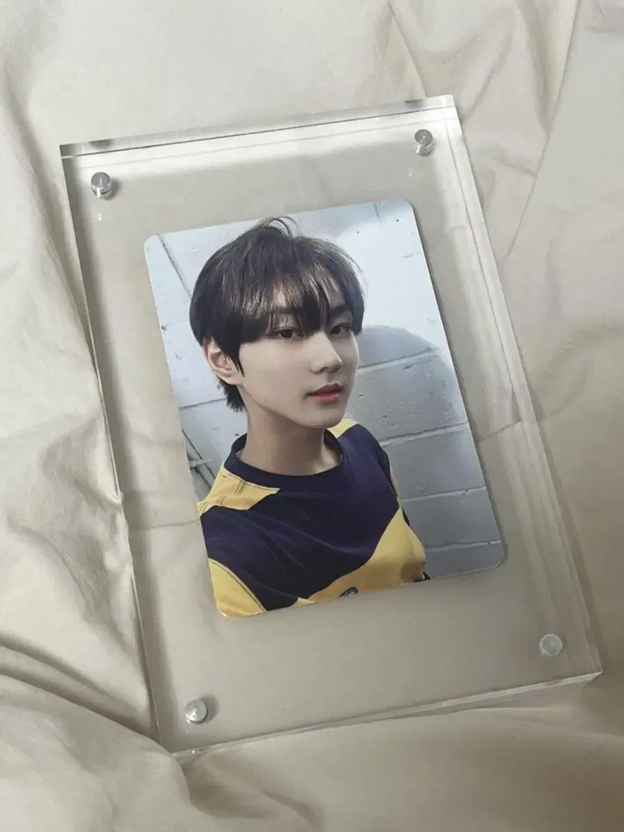 Enhypen jungwon photocards, frames in bulk