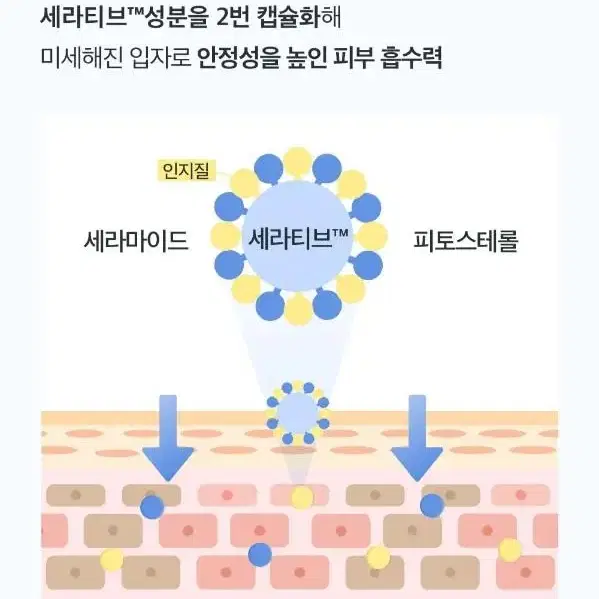 [새상품/조건무배] 홀리카홀리카 세라베리어 모이스처 액티브 미스트