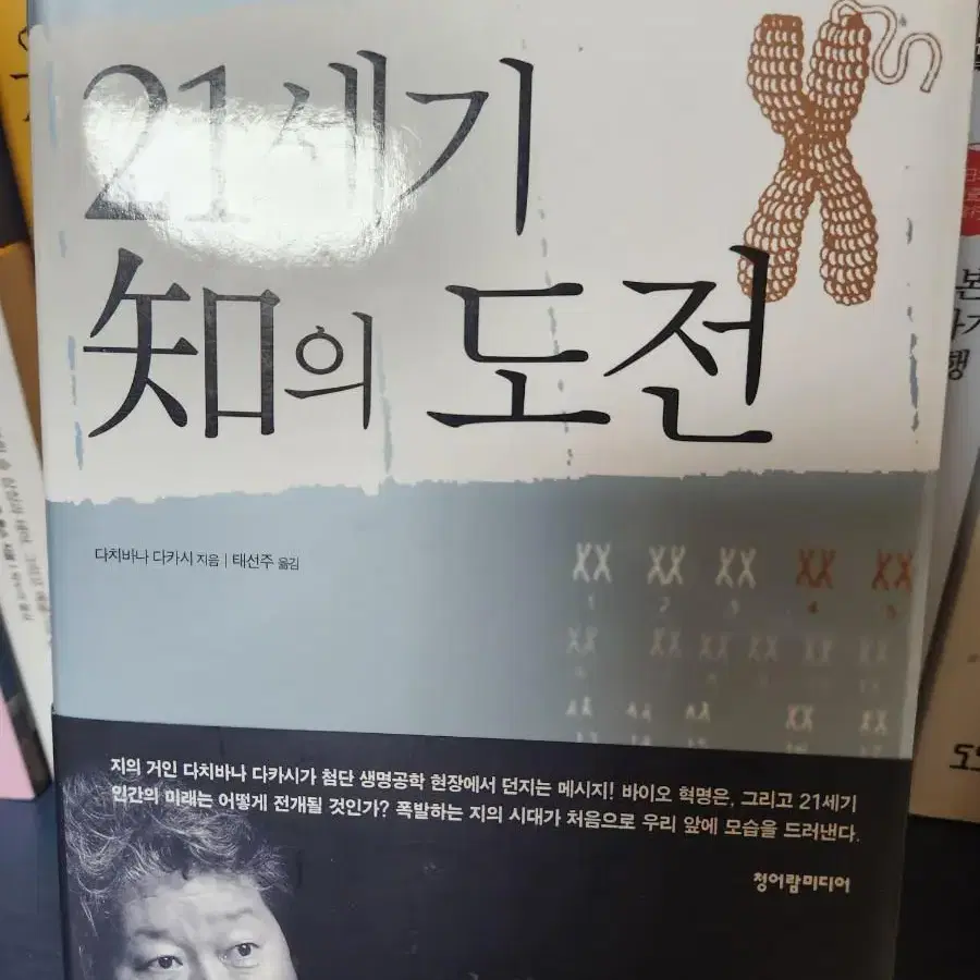 21세기 지의 도전