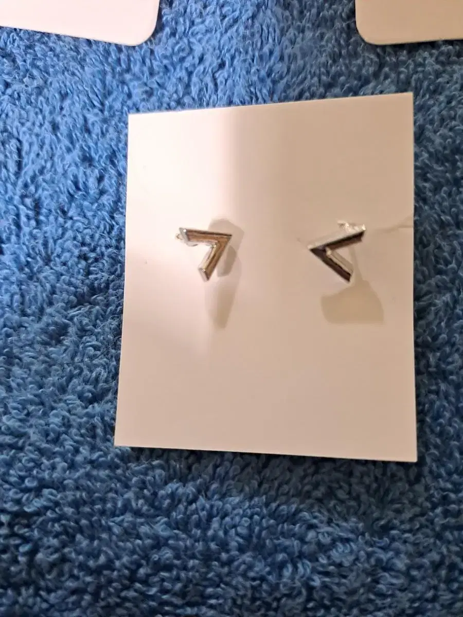 V-shaped earrings