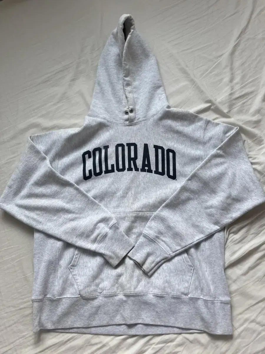 Vintage Champion Reverse Weave Hoodie