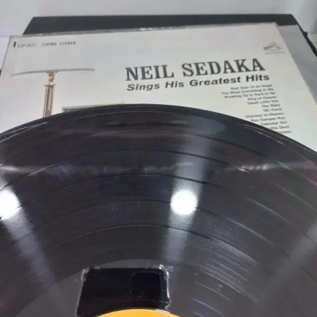 팝 lp 닐세다카 neil sedaka