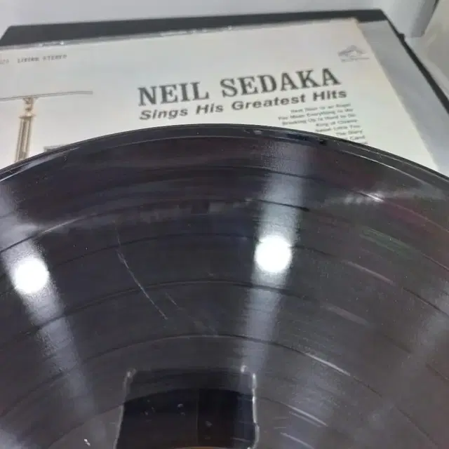 팝 lp 닐세다카 neil sedaka