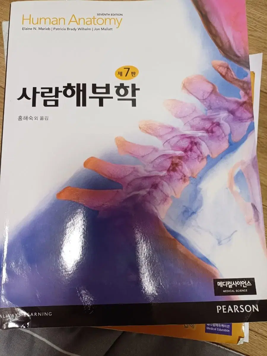 사람해부학 메디컬사이언스