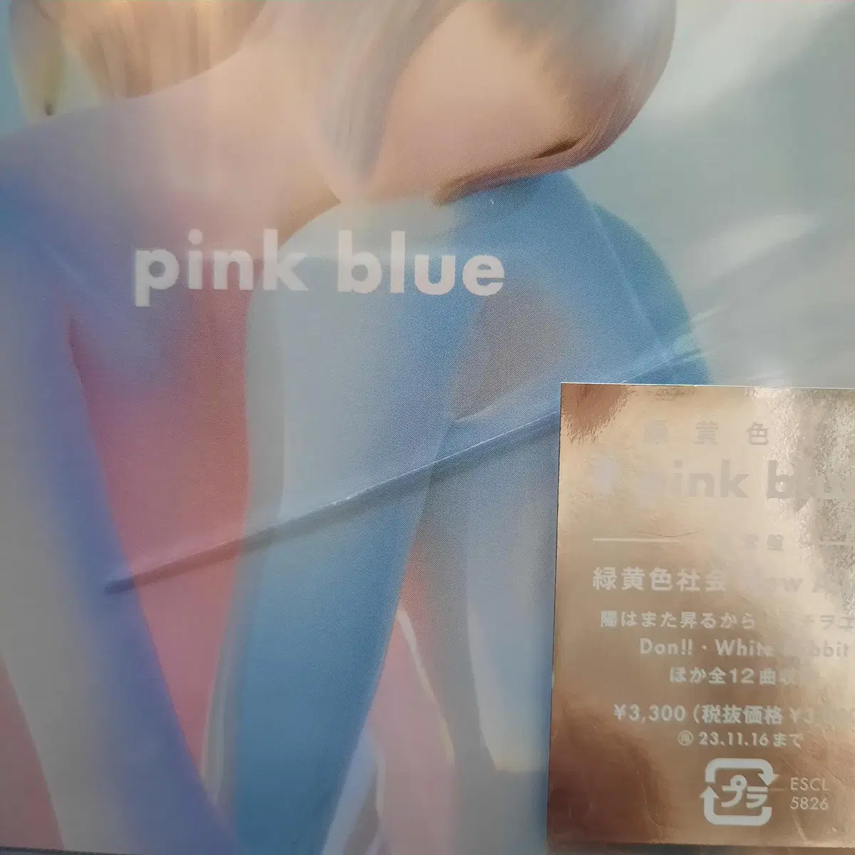 녹황색사회 pink blue CD 미개봉 신품