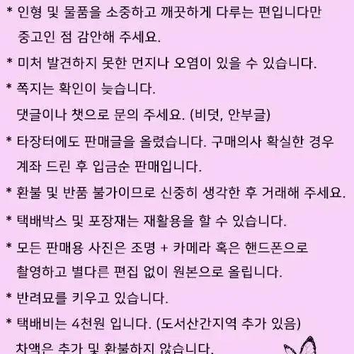 [구체관절인형] MSD 디어벨 블랑슈