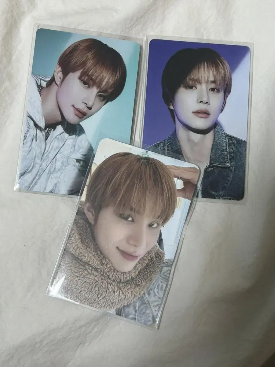 NCT 127 Exhibition Bears Jungwoo Conpo Jungwoo WTS