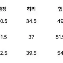 PVCS 웨스트 플레어 스커트