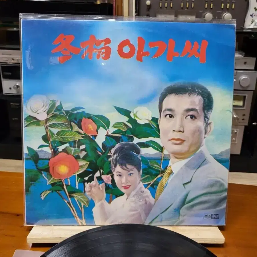 동백아가씨 LP