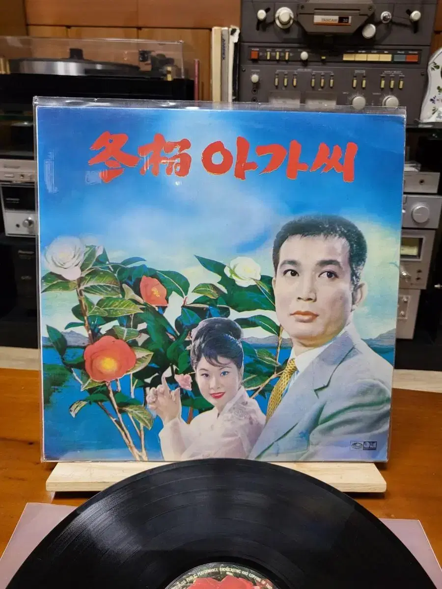 동백아가씨 LP