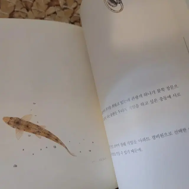 책)이외수ㅡ아불류 시불류 ㅡ새책수준