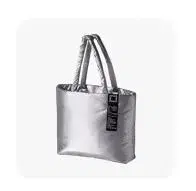 Innisfree Silver Metallic Bag Unused courier included