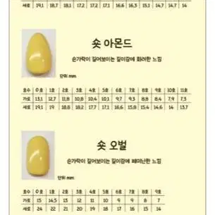 수제네일팁 봄은있었다 네일팁