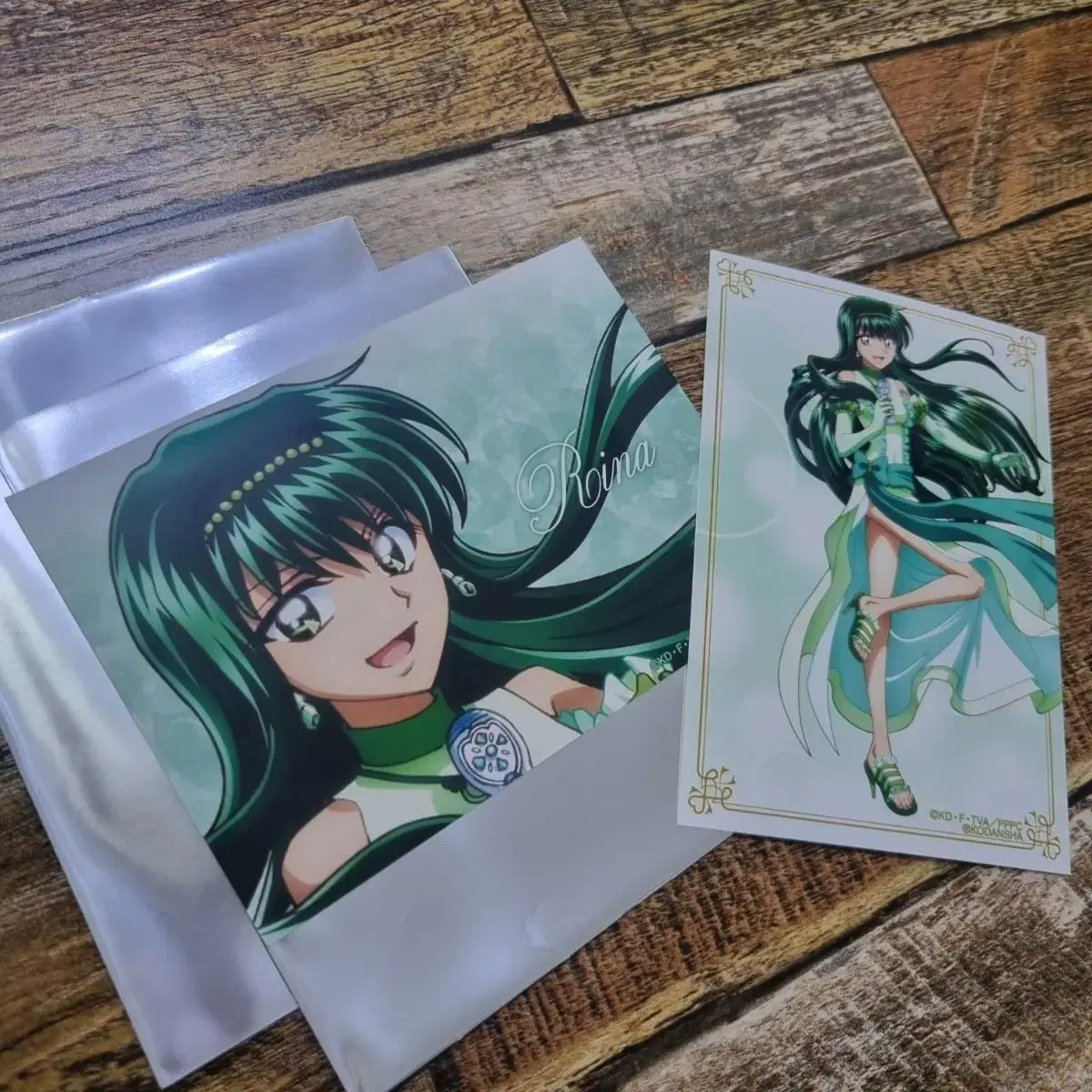 PitchPitchPitch rina Sells prints (official goods)