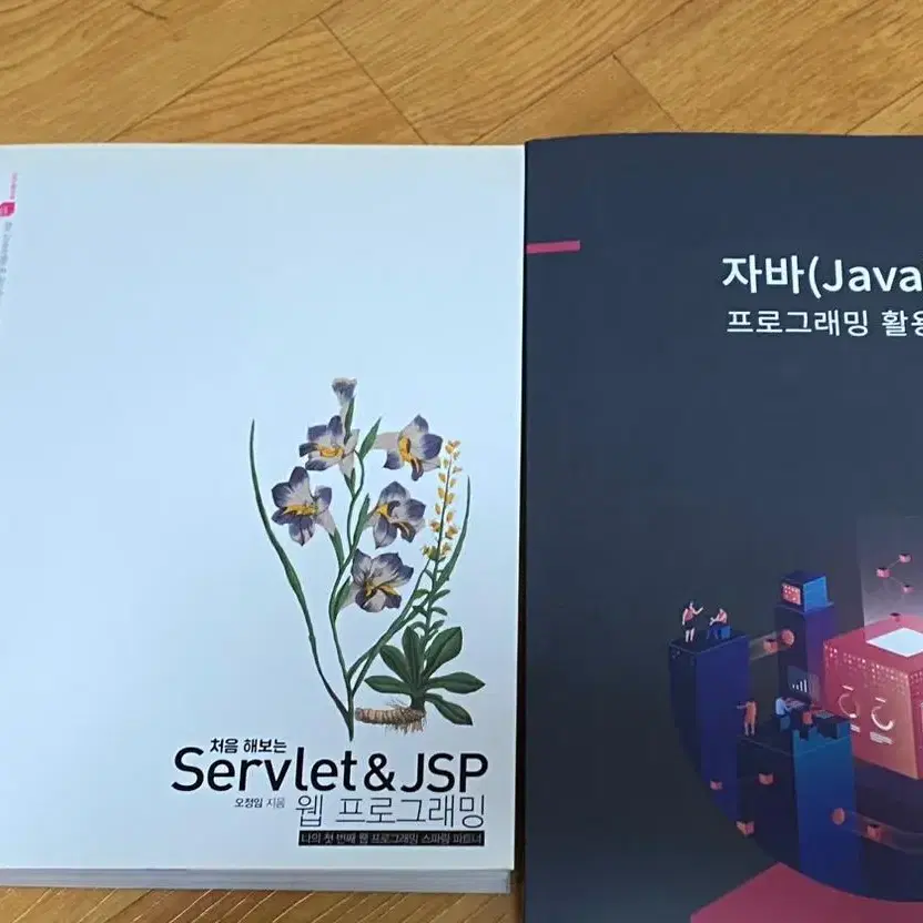 웹개발. 자바 servlet. jsp 새책