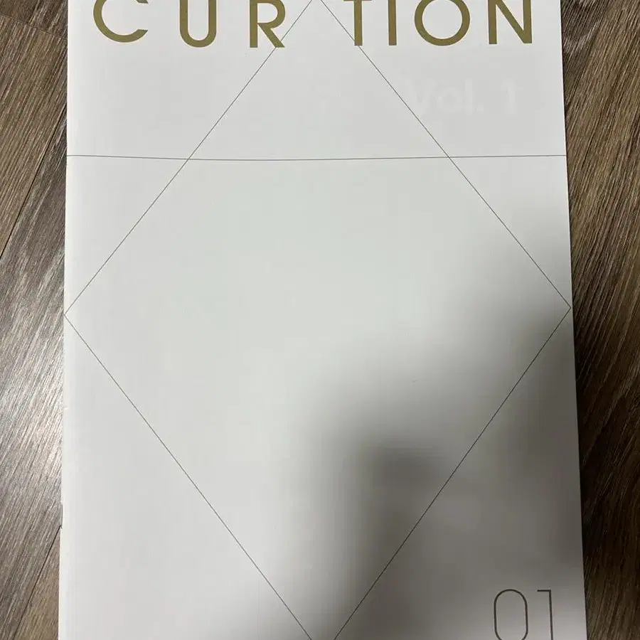 2025 시대인재 국어 Curation