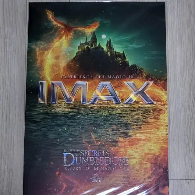 CGV IMAX 신비한 동물들과 덤블도어의 비밀