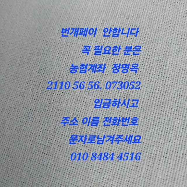 르까프/ 240