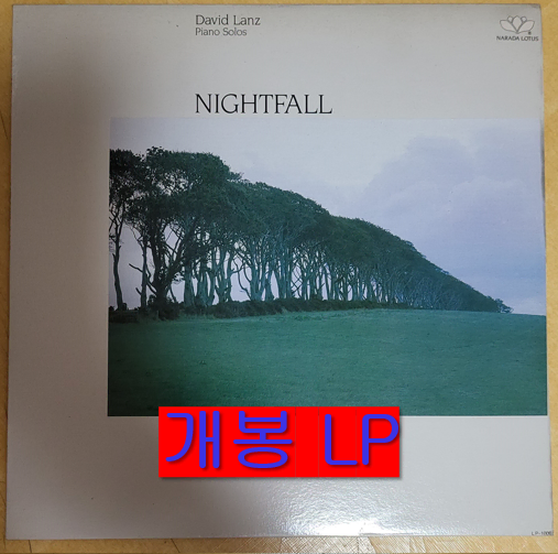 데이빗 란츠 (David Lanz) - Nightfall (개봉, LP)