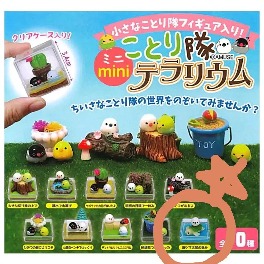 Kotoritai Mini Terrarium Gacha