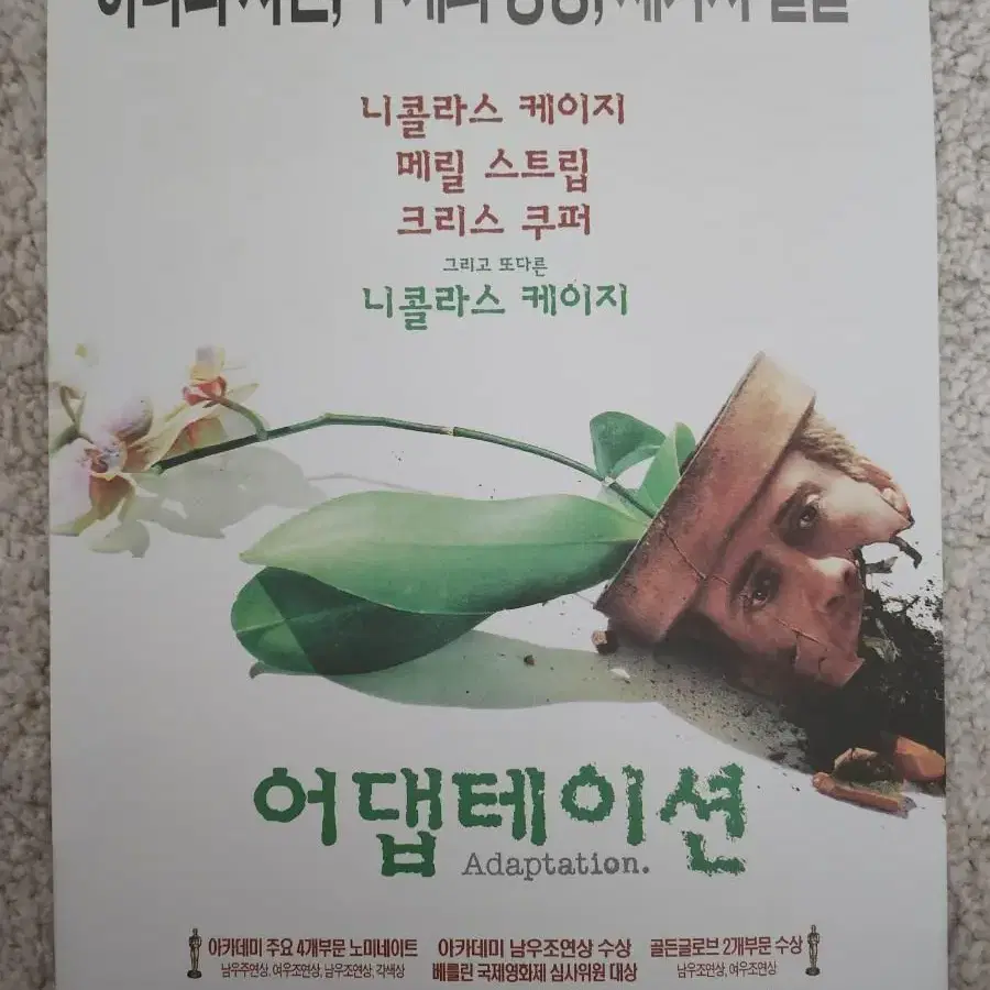 영화팜플렛 영화전단지 어댑테이션