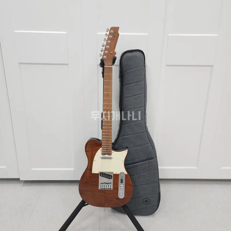 헥스 텔레캐스터 일렉기타 T200 VN