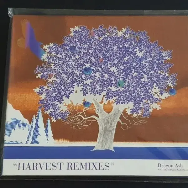 DRAGON ASH 드래곤애쉬 앨범 Harvest Remixes 음반