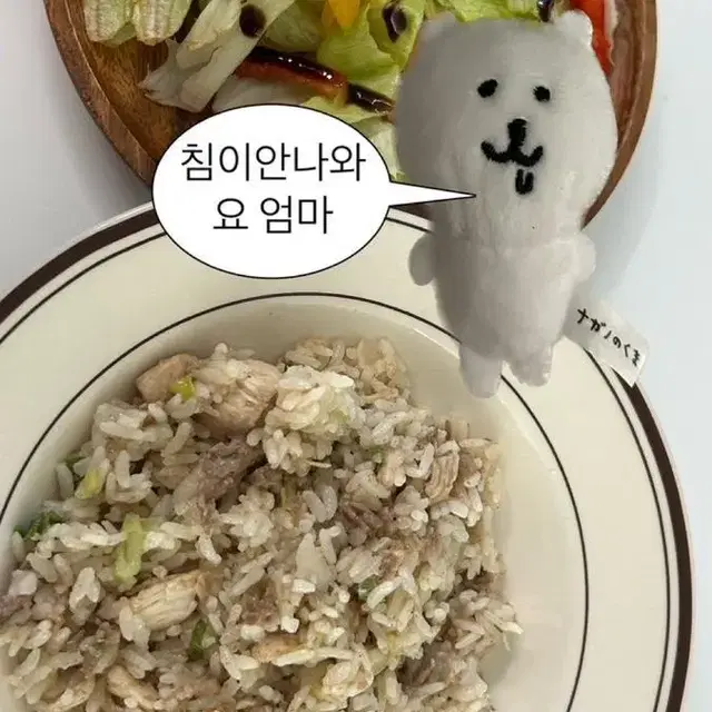 침담곰