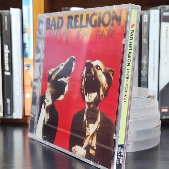 배드 릴리전 BAD RELIGION CD 미개봉