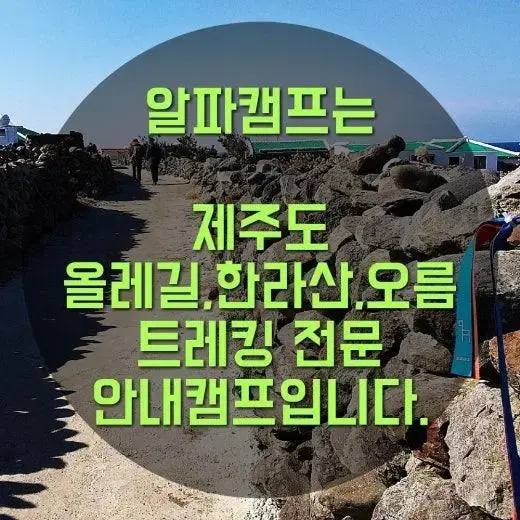 제주도 올레길 캠프 3박 4일 양도(알파캠프)